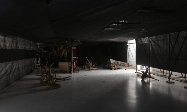 J.Owczarzak_Rhizopolis_montaz_1 J.Owczarzak_Rhizopolis_montaz_1