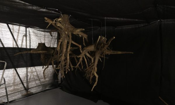 J.Owczarzak_Rhizopolis_montaz_5 J.Owczarzak_Rhizopolis_montaz_5